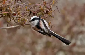 A0A2A8436-SharpenAI-Motion