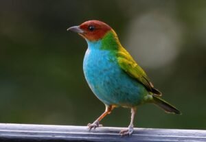 A0A2A9603-SharpenAI-Motion