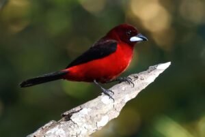 A0A2A9643-SharpenAI-Motion