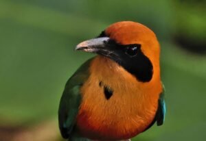 A0A2A9671-SharpenAI-Softness