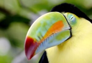 AA0A2A3289-SharpenAI-Softness-SharpenAI-Softness