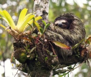 Aa0A2A4631-SharpenAI-Motion-DeNoiseAI-standard