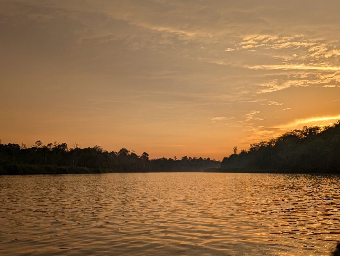 Kinabatangan River
