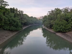 PXL_20260504_232056833