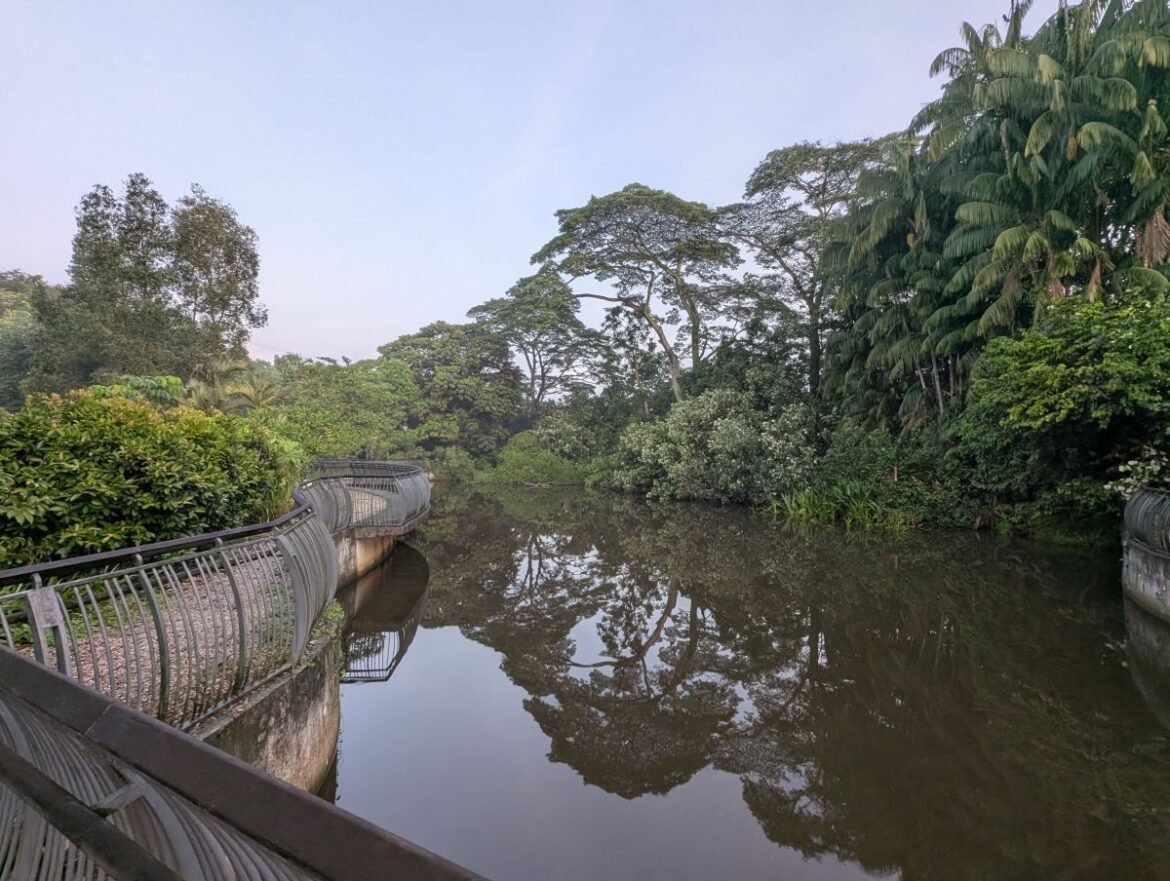 Singapore Wildlife